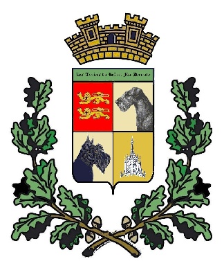 Du beffroi mac dermotte